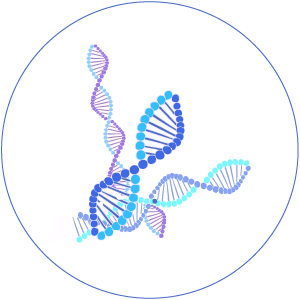 新冠病毒核酸檢測