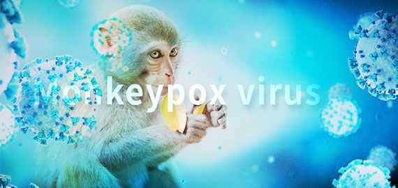 SingleB猴痘項(xiàng)目大顯身手，近100株抗體火速上新！