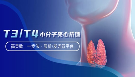 【小分子夾心法】甲功T3/T4，高靈敏&一步法